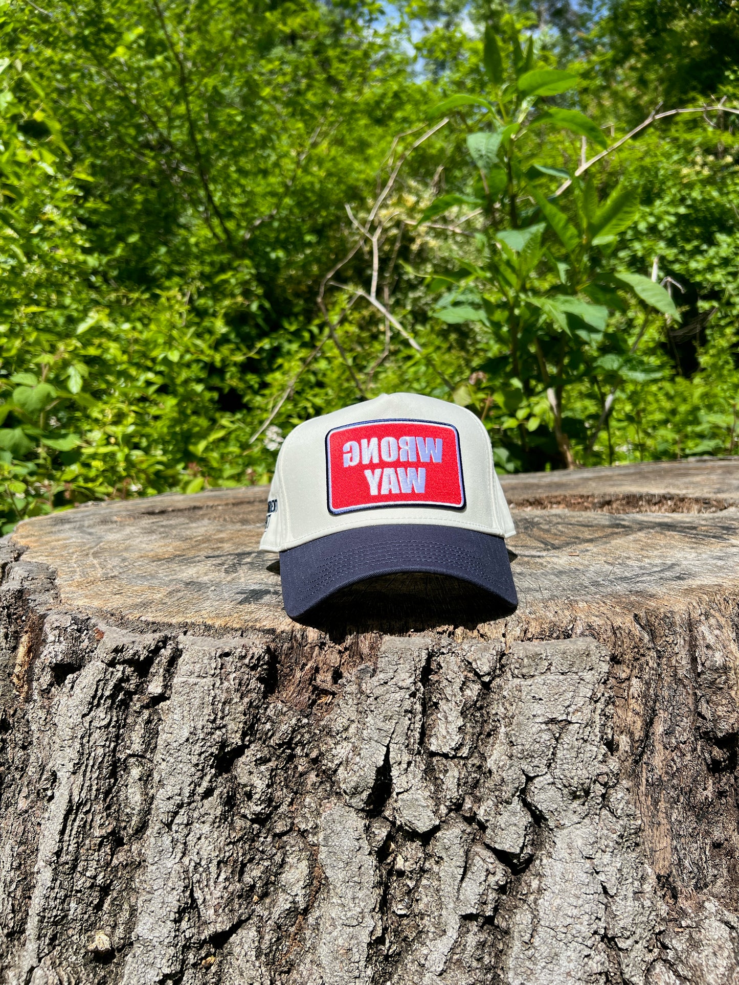 Transparent Viewz Snapback, Inversion of "WRONG WAY" Sign